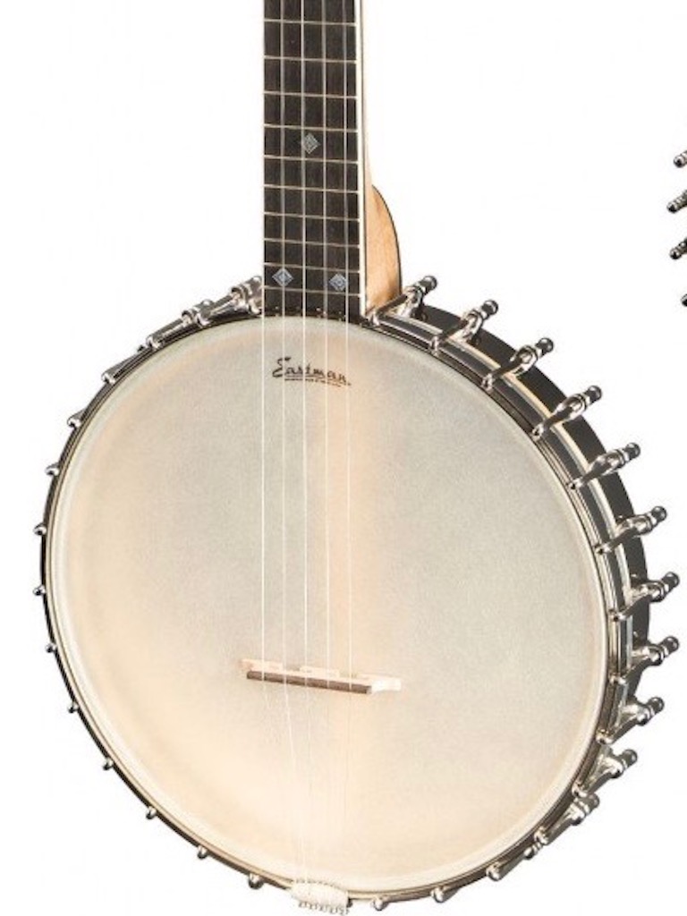 Eastman whyte laydie deals banjo