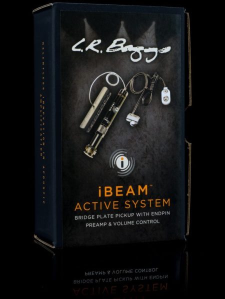 L.R. BAGGS iBAS IBEAM ACTIVE SYSTEM ACOUSTIC GUITAR BRIDGEPLATE PICKUP