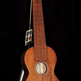 Martin S1 Front