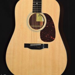 EASTMAN E1D SOLID ACOUSTIC DREADNOUGHT GUITAR WITH GIG BAG