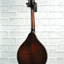 Eastman MD505 Back