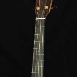 Pono BE-D Front Headstock