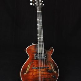 EASTMAN ER-M EL RAY CHAMBERED ELECTRIC MANDOLIN WITH CASE