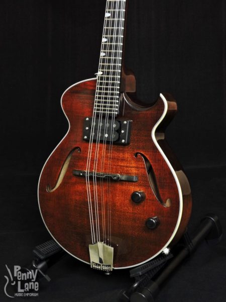 EASTMAN ER-M EL RAY CHAMBERED ELECTRIC MANDOLIN WITH CASE