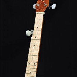 Gold Tone Plucky Front Headstock