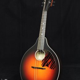 WATERLOO BY COLLINGS WL-M SUNBURST A-STYLE MANDOLIN WITH CASE