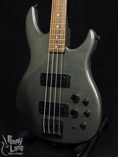 Used Peavey Dyna-Bass Front Close