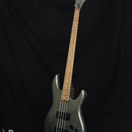Used Peavey Dyna-Bass Front