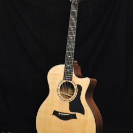 Taylor 314ce Front