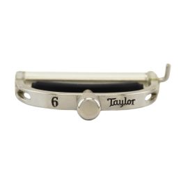 TAYLOR 6-STRING ACOUSTIC GUITAR CAPO