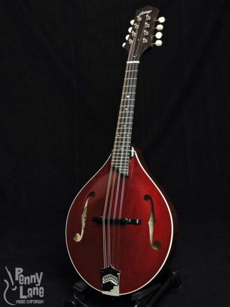 collings a style mandolin