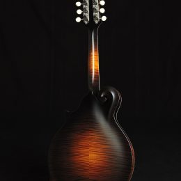 Collings MF Deluxe 2283 Back
