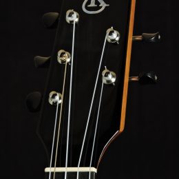 Kanile'a K-2 T5 Premium 5173 Front Headstock Close