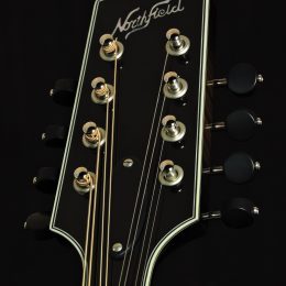 Northfield NFMSP-A5 Front Headstock Close