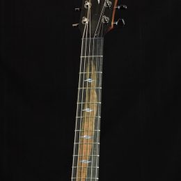 Taylor 811e Front Headstock