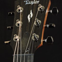 Taylor 811e Front Headstock Close