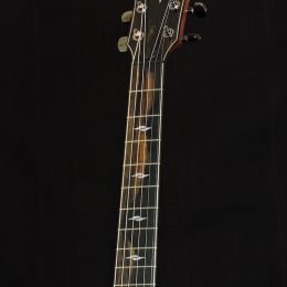 Taylor 814ce Front Headstock
