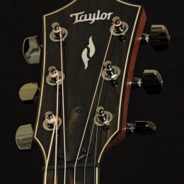 Taylor 814ce Front Headstock Close