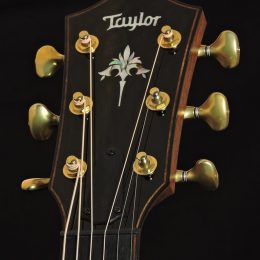 Taylor 914ce Front Headstock Close-1