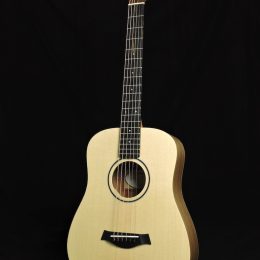 Taylor BT1 Front
