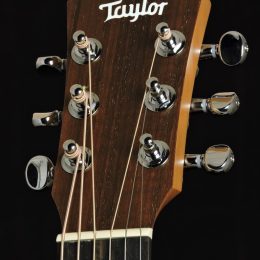 Taylor BT1 Front Headstock Close