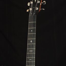 Taylor 514ce Front Headstock