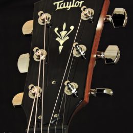 Taylor 514ce Front Headstock Close