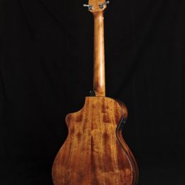 Used Breedlove Discovery Companion CE Back