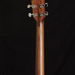 Taylor AD17 Black Top Back Headstock