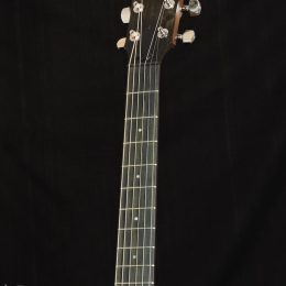 Taylor AD17 Black Top Front Headstock