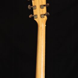 Taylor 214ce DLX Back Headstock