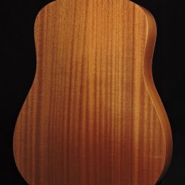 Taylor Used-Academy 10 Back Close