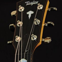 Taylor 618e Front Headstock Close