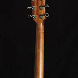 Taylor AD17 Back headstock