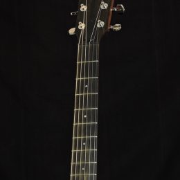 Taylor AD17 Front Headstock