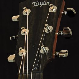 Taylor AD17 Front Headstock Close