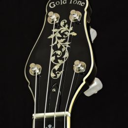 Gold Tone CEB-5 Front Headstock Close