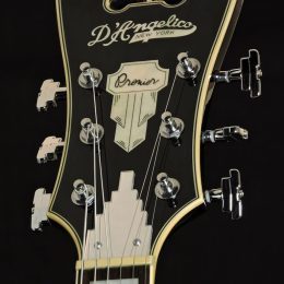 D'Anelico DAPEXL1SBBKCT Front Headstock Close