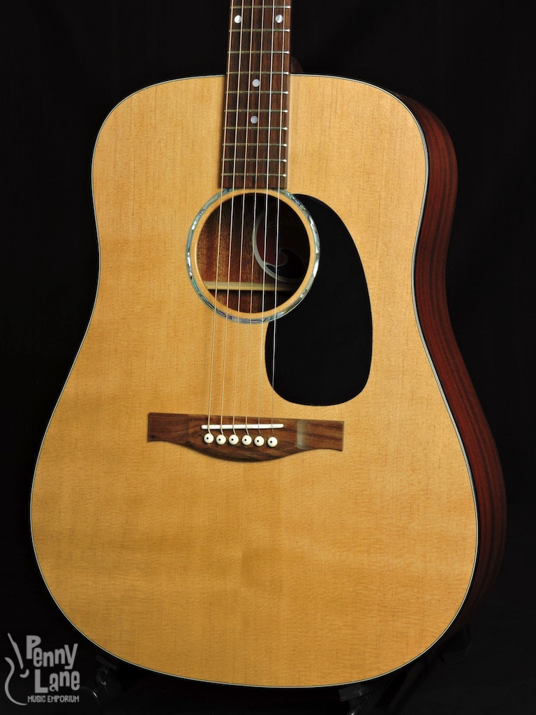 EASTMAN PCH1-D SOLID TOP ACOUSTIC DREADNOUGHT GUITAR WITH GIG BAG ...