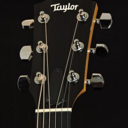 Taylor 214ce-K SB Front Headstock Close