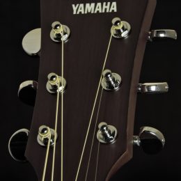 Yamaha AC1R VN Front Headstock Close