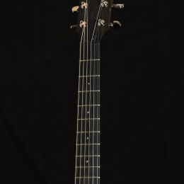 Taylor AD22e Front Headstock