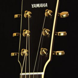 YAMAHA LS6M ARE ACOUSTIC ELECTRIC CONCERT GUITAR