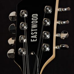 Eastwood Mandocaster 1802778 Front Headstock Close