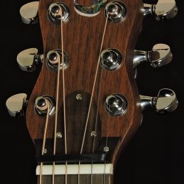 Journey OF312 Front Headstock Close