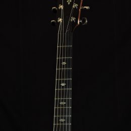 Taylor 714ce WSB Front Headstock
