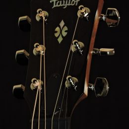 Taylor 714ce WSB Front Headstock Close