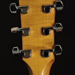 Taylor Academy 12 Back Headstock Close