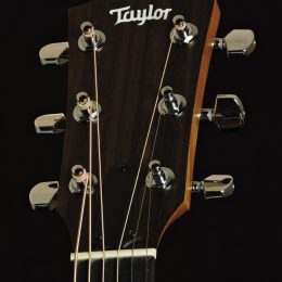 Taylor Academy 12 Front Headstock Close