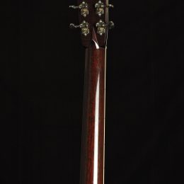 Collings D2H 22713 Back Headstock